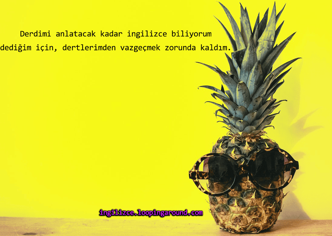 ananas resmi